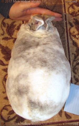 2017-10-30-14-40-16_wm.jpg 2017-10-30-14-40-16_wm.jpg