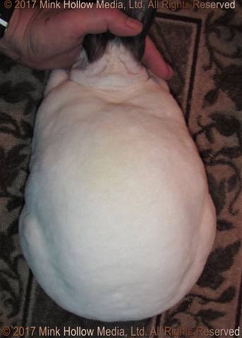 2017-08-12-13-12-20._wm.jpg 2017-08-12-13-12-20._wm.jpg