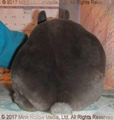 2017-04-12_17-41-19_wm.jpg 2017-04-12_17-41-19_wm.jpg