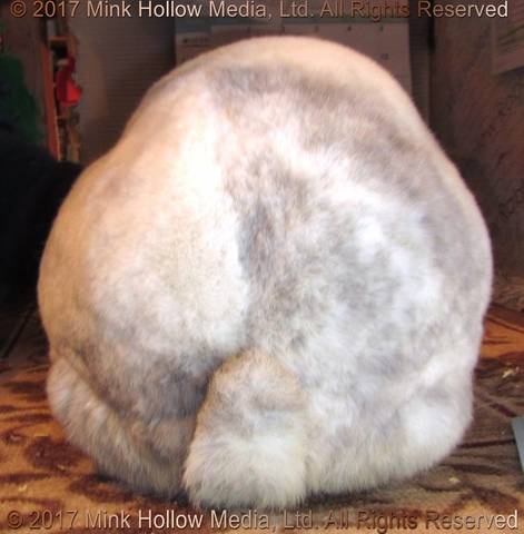 2017-10-30-14-40-21_wm.jpg 2017-10-30-14-40-21_wm.jpg