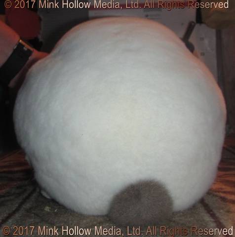 2017-08-12-13-12-26._wm.jpg 2017-08-12-13-12-26._wm.jpg