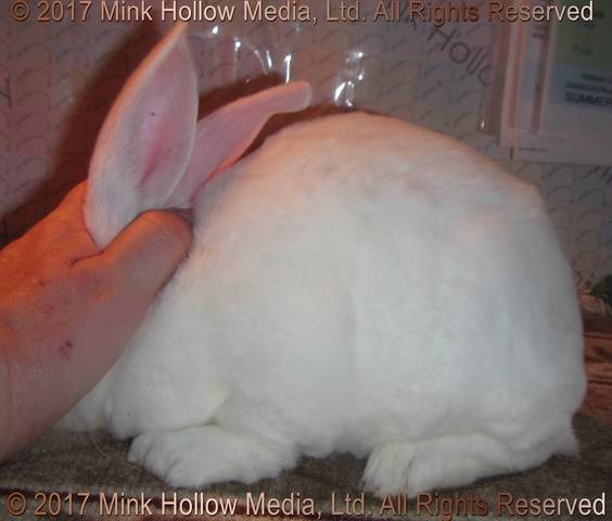 0-main.jpg 0-main.jpg