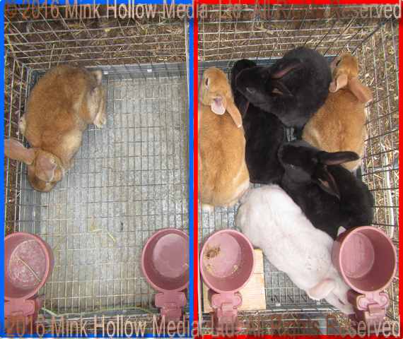 yde_wm.png yde_wm.png