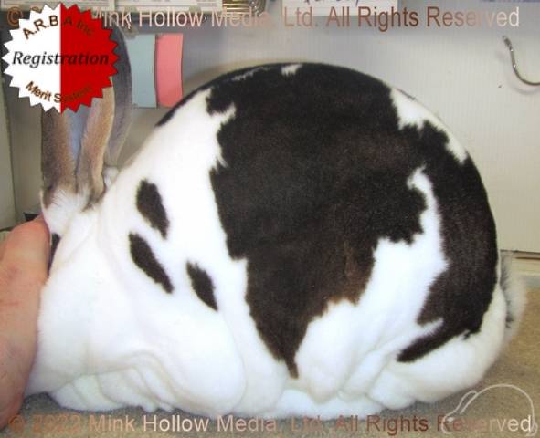 0-main.jpg 0-main.jpg