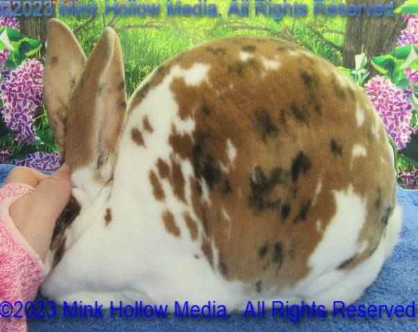 0-main.jpg 0-main.jpg