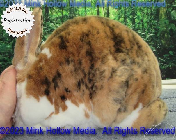 0-main.jpg 0-main.jpg