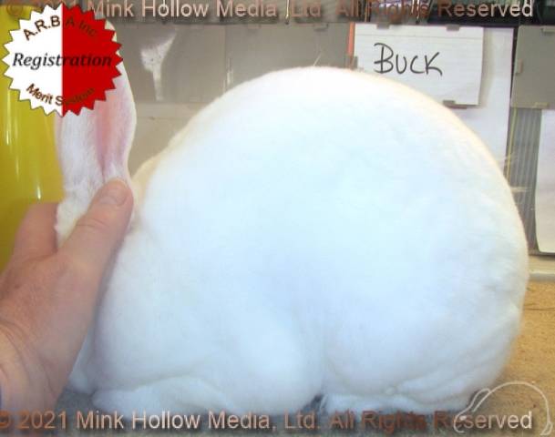 0-main.jpg 0-main.jpg