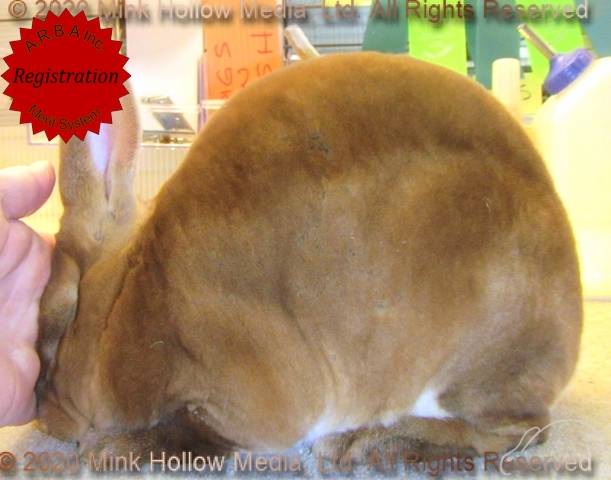 0-main.jpg 0-main.jpg