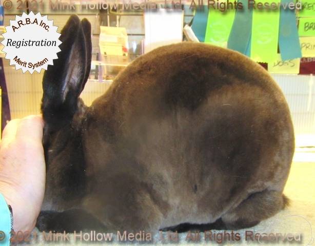 0-main.jpg 0-main.jpg