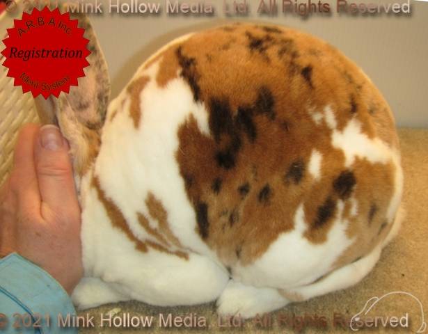 0-main.jpg 0-main.jpg