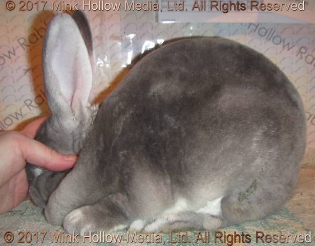 1-main.jpg 1-main.jpg