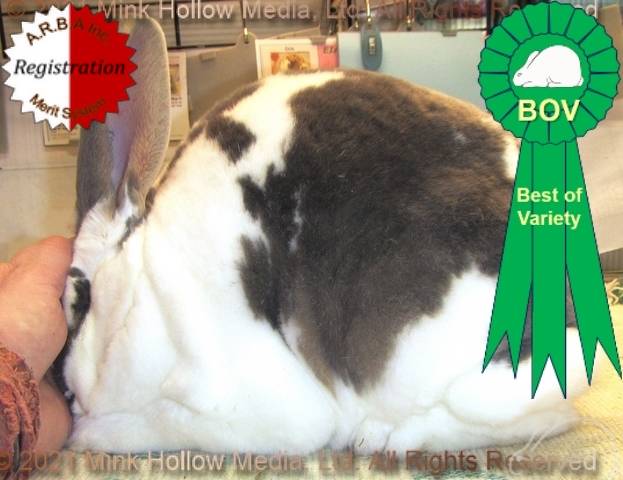 0-main.jpg 0-main.jpg