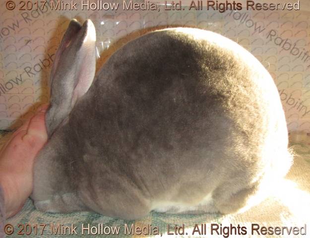 0-main.jpg 0-main.jpg