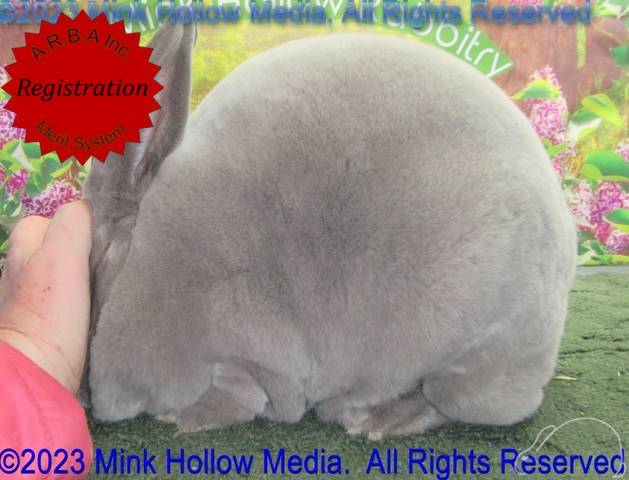 0-main.jpg 0-main.jpg