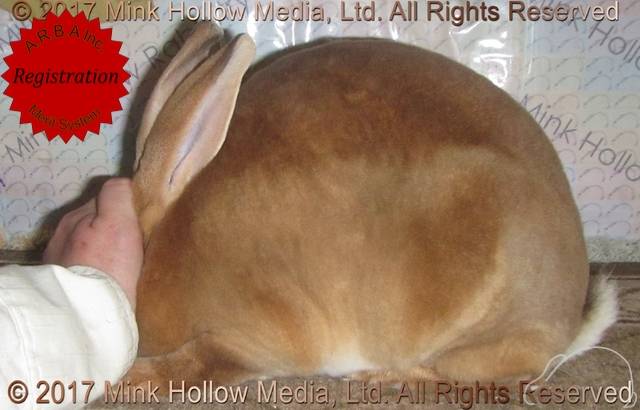 0-main.jpg 0-main.jpg