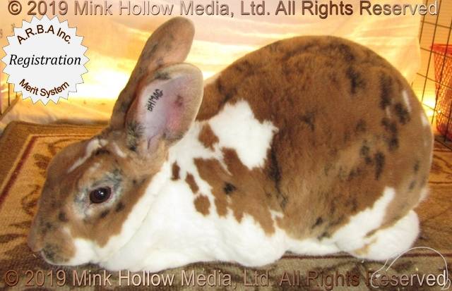 0-main.jpg 0-main.jpg