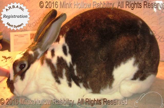 0-main.jpg 0-main.jpg