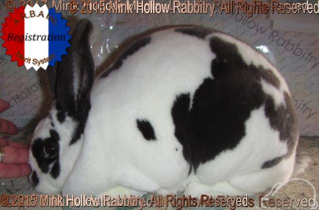 0-main.jpg 0-main.jpg