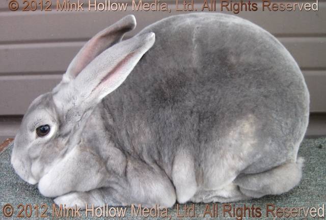 star-2012-11-04_16-15-15.jpg star-2012-11-04_16-15-15.jpg