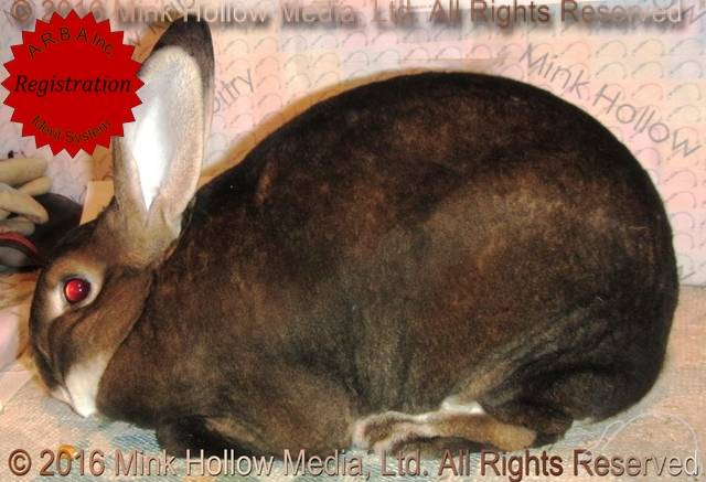 0-main.jpg 0-main.jpg