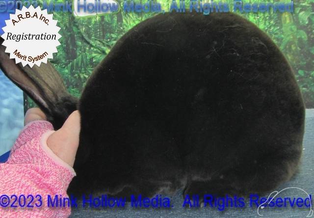 0-main.jpg 0-main.jpg