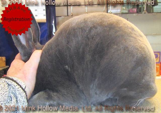 0-main.jpg 0-main.jpg