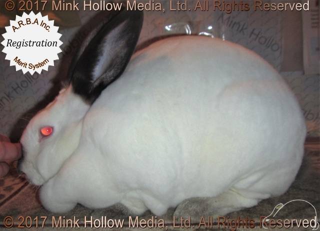 0-main.jpg 0-main.jpg