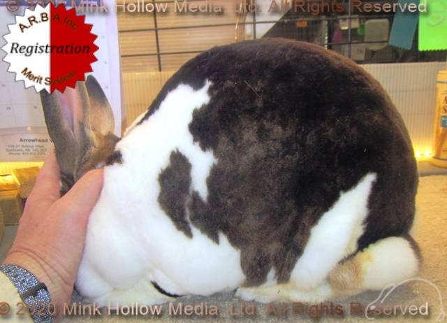 0-main.jpg 0-main.jpg