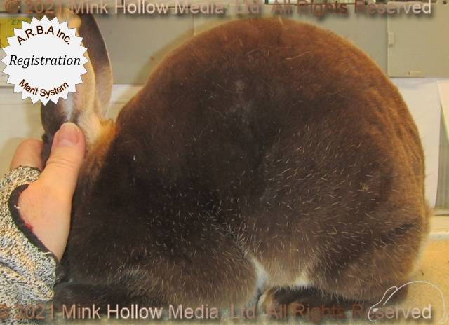 0-main.jpg 0-main.jpg