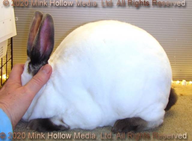 0-main.jpg 0-main.jpg