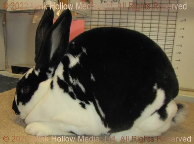 0-main.jpg 0-main.jpg