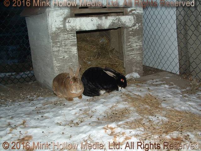 Larry & Lydia, 2007 Larry & Lydia, 2007