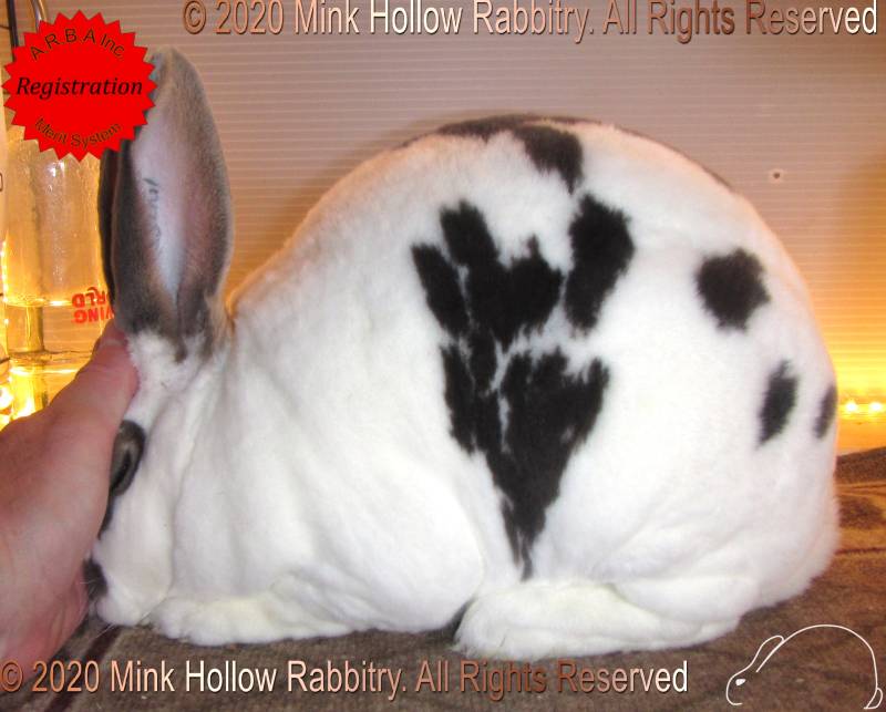 0-main.jpg 0-main.jpg