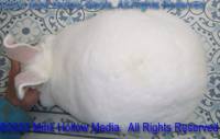 fiby-2023-03-27-13-13-48_wm.jpg