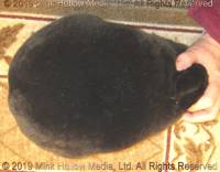 goldberry-2019-12-07-18-53-10_wm.jpg