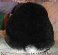 wildcard-2017-04-17_17-37-17_wm.jpg